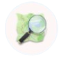 OSM